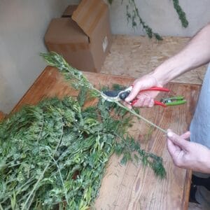 Début de la manucure